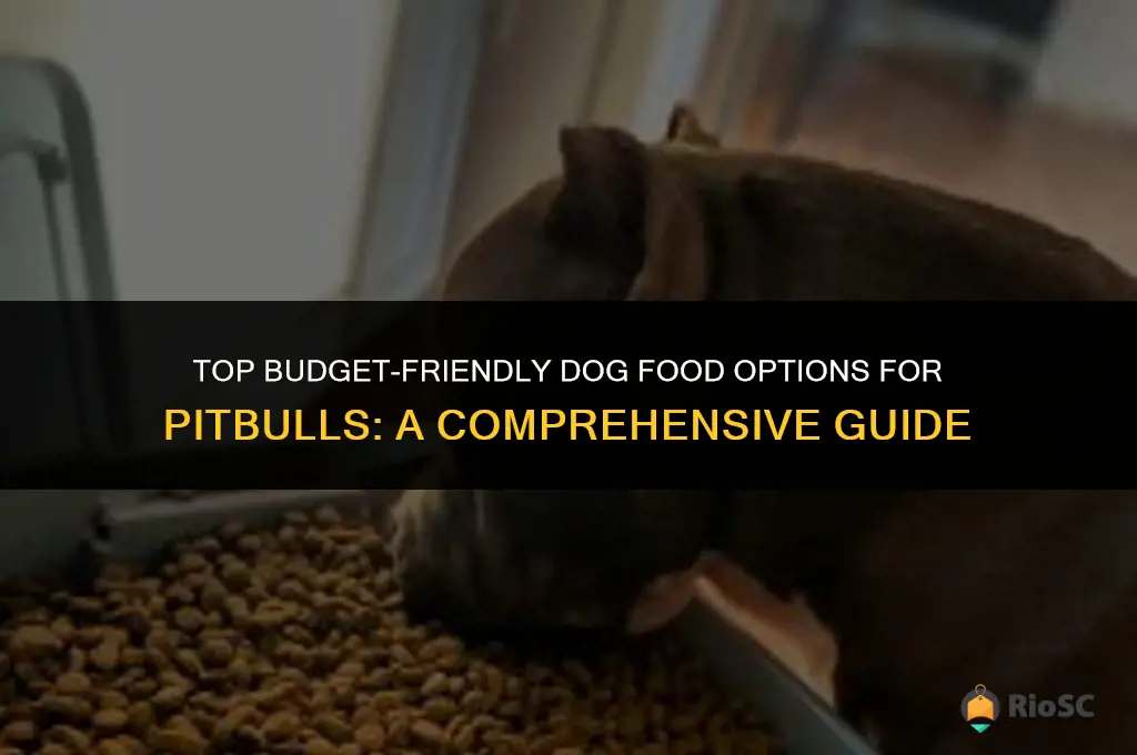 best affordable dog food brands for pitbulls