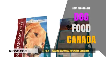 Top Budget-Friendly Dog Food Options in Canada: A Comprehensive Guide for Pet Owners
