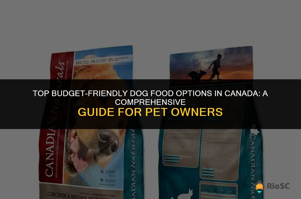 best affordable dog food canada