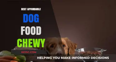 Top Picks for Budget-Friendly Dog Food at Chewy: Quality Nutrition Without Breaking the Bank
