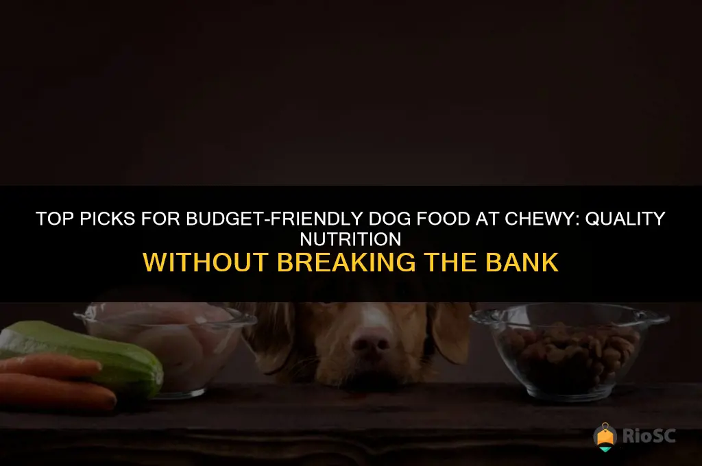 best affordable dog food chewy