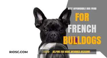Nutritious and Budget-Friendly: Top Dog Food Picks for French Bulldogs