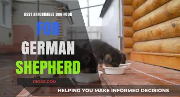 Top Budget-Friendly Dog Food Options for German Shepherds: Nutrition Without Breaking the Bank