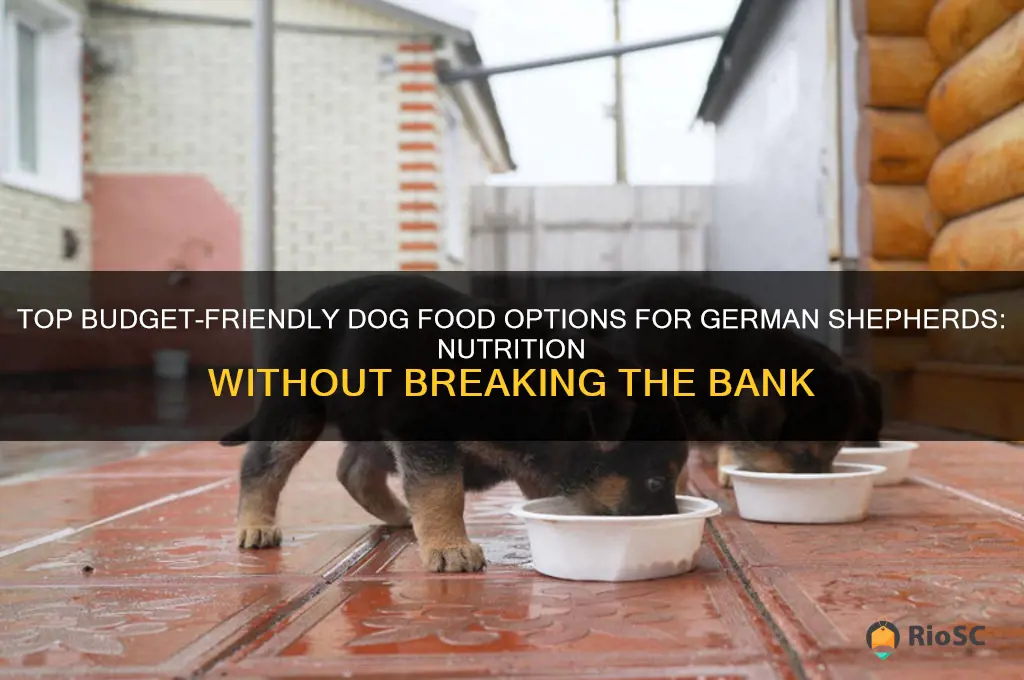 best affordable dog food for german shepherd