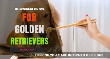 Nutritious and Budget-Friendly: Top Dog Food Picks for Golden Retrievers