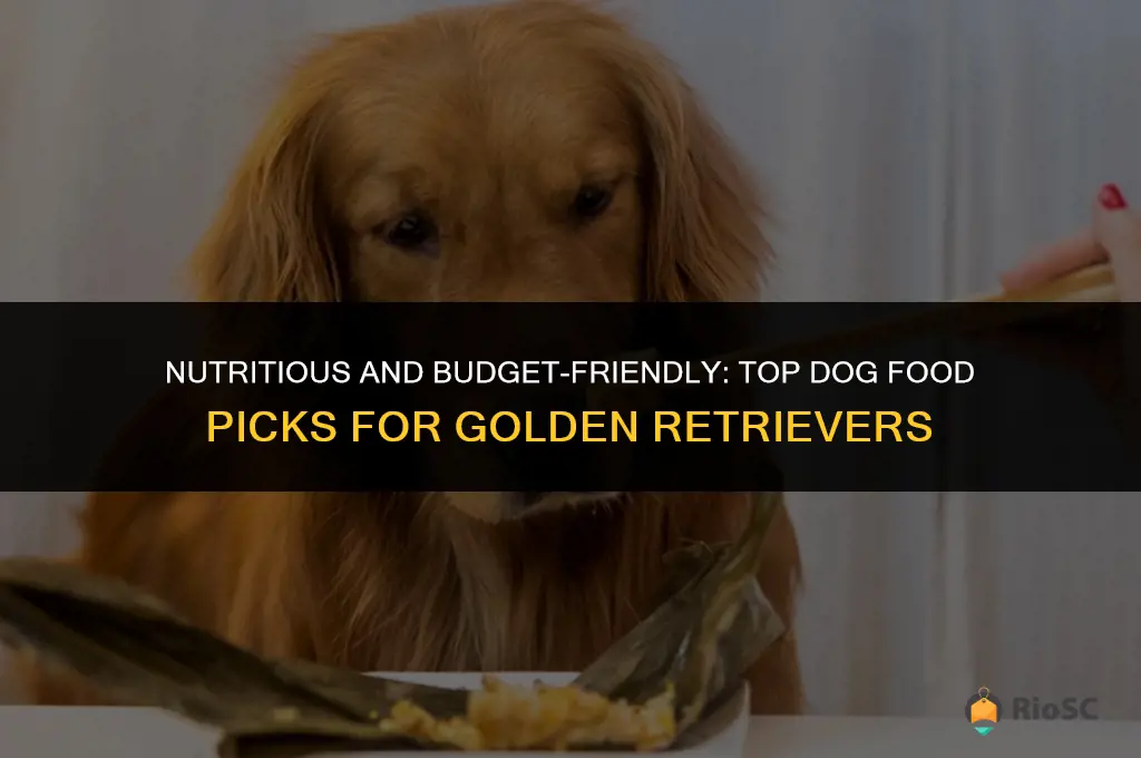 best affordable dog food for golden retrievers