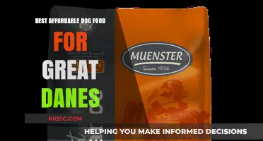Nutritious and Budget-Friendly: Top Dog Food Picks for Great Danes