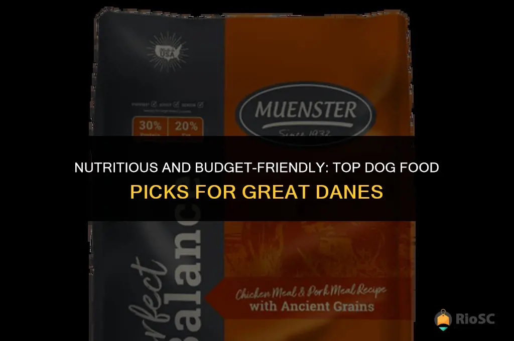 best affordable dog food for great danes