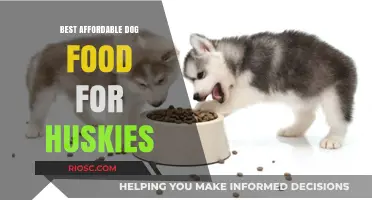 Nutritious and Budget-Friendly: Top Dog Food Picks for Huskies