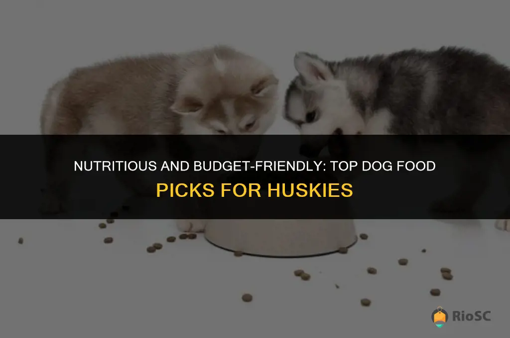 best affordable dog food for huskies