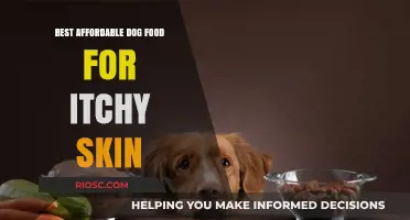 Soothing on a Budget: Top Affordable Dog Foods for Itchy Skin Relief