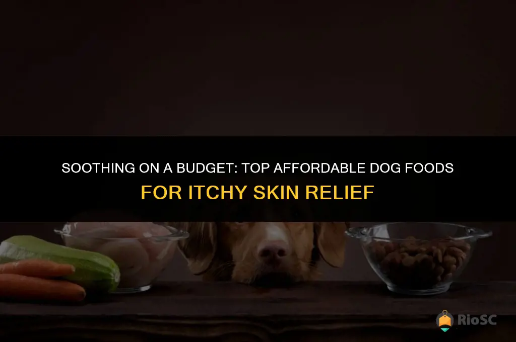 best affordable dog food for itchy skin