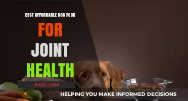 Nourishing Joints on a Budget: Top Affordable Dog Food Picks for Optimal Joint Health