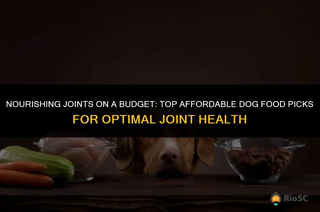 best affordable dog food for joint health