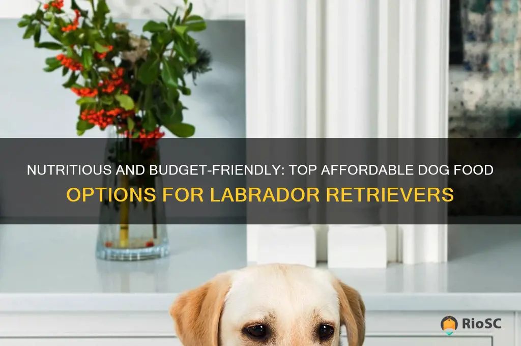 best affordable dog food for labs