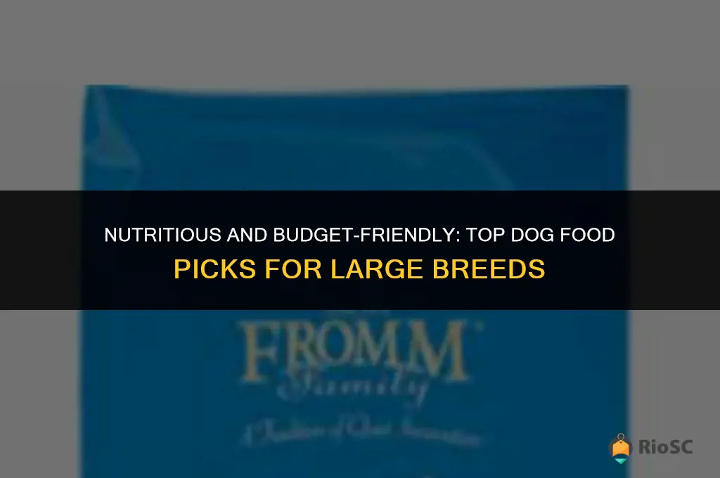 best affordable dog food for large breed