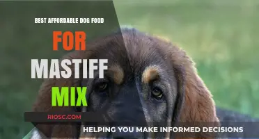 Nutritious and Budget-Friendly: Top Dog Food Picks for Your Mastiff Mix