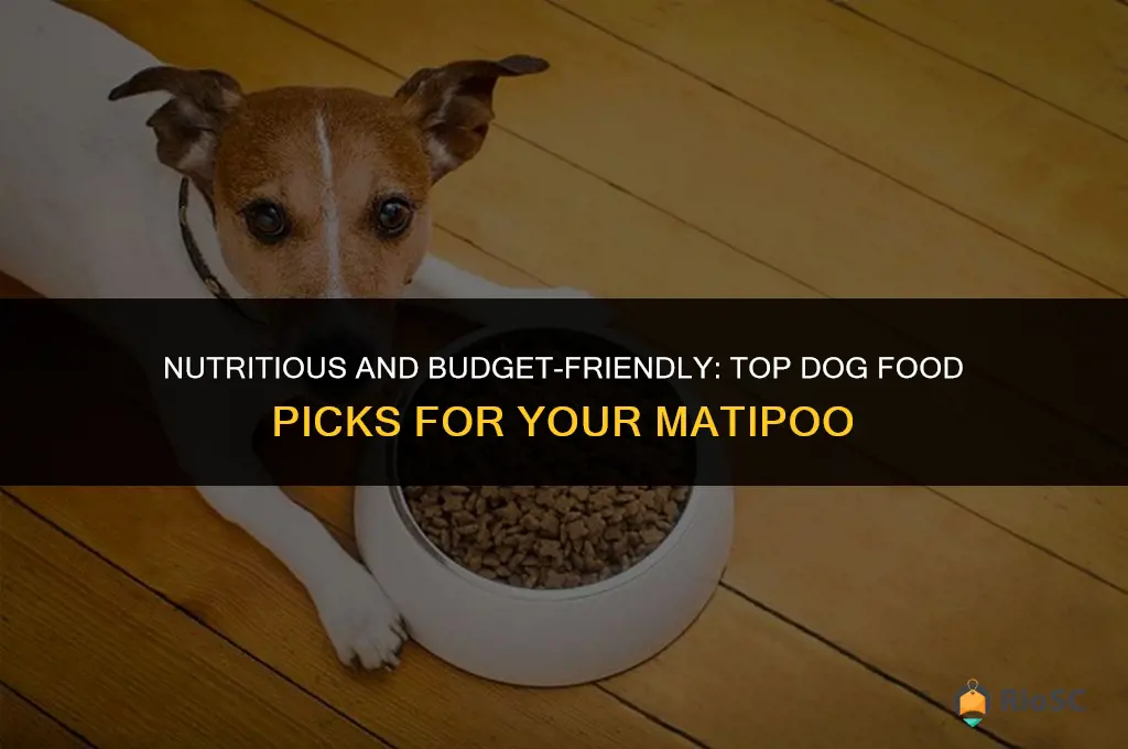 best affordable dog food for matipoo dogs