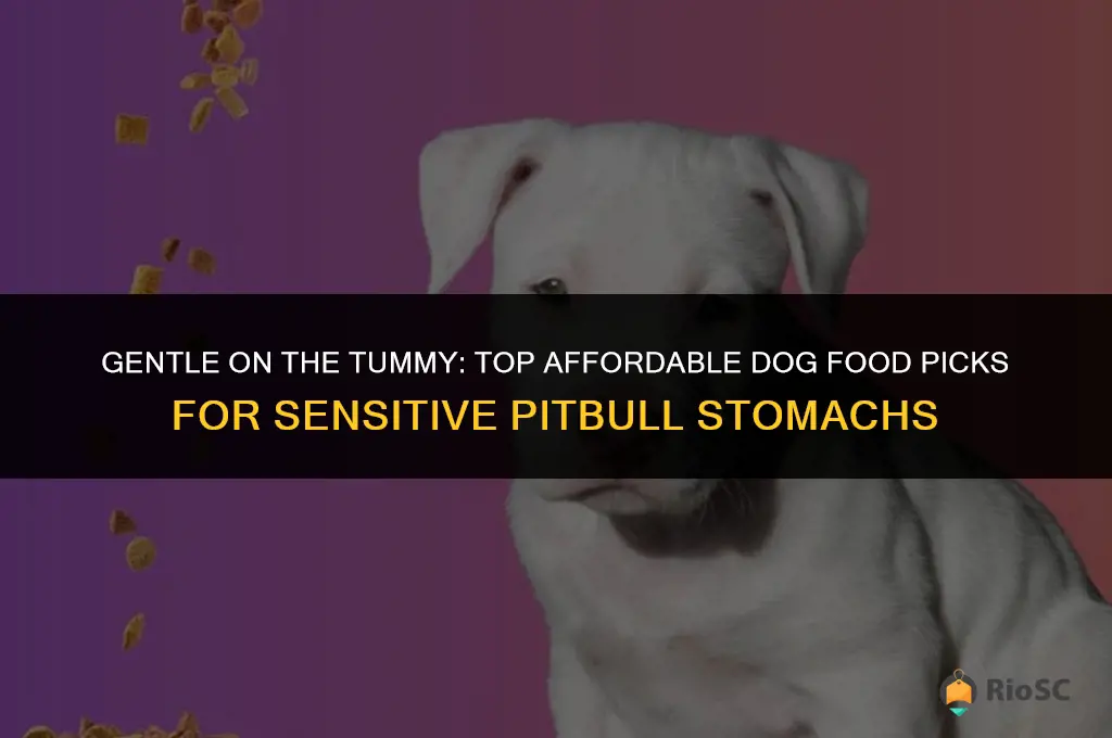 best affordable dog food for pitbulls with weak stomach