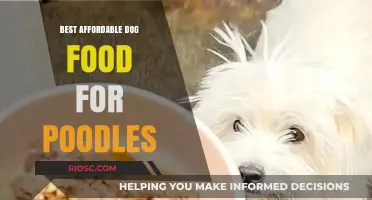 Top Budget-Friendly Dog Food Options for Poodles: A Comprehensive Guide