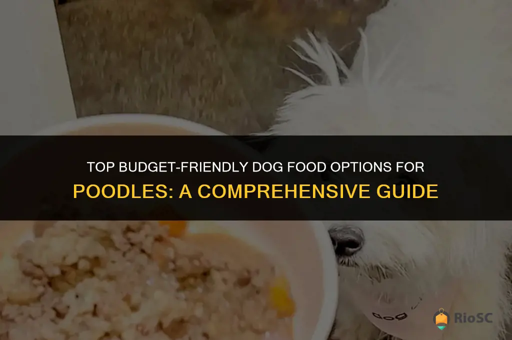 best affordable dog food for poodles