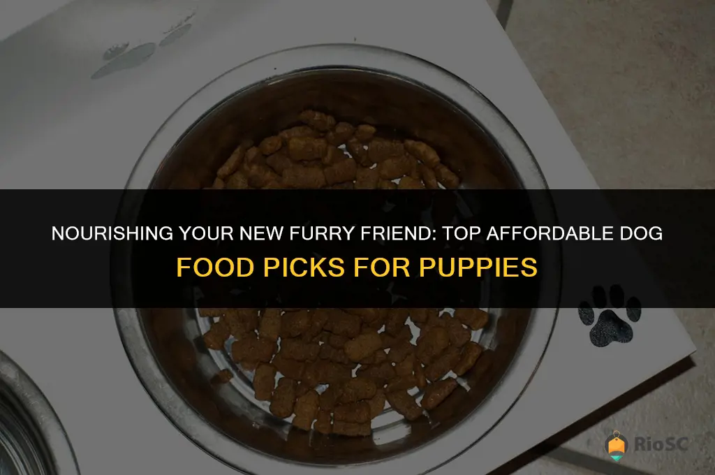 best affordable dog food for puppy