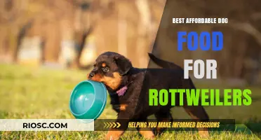 Nutritious and Budget-Friendly: Top Dog Food Picks for Rottweilers