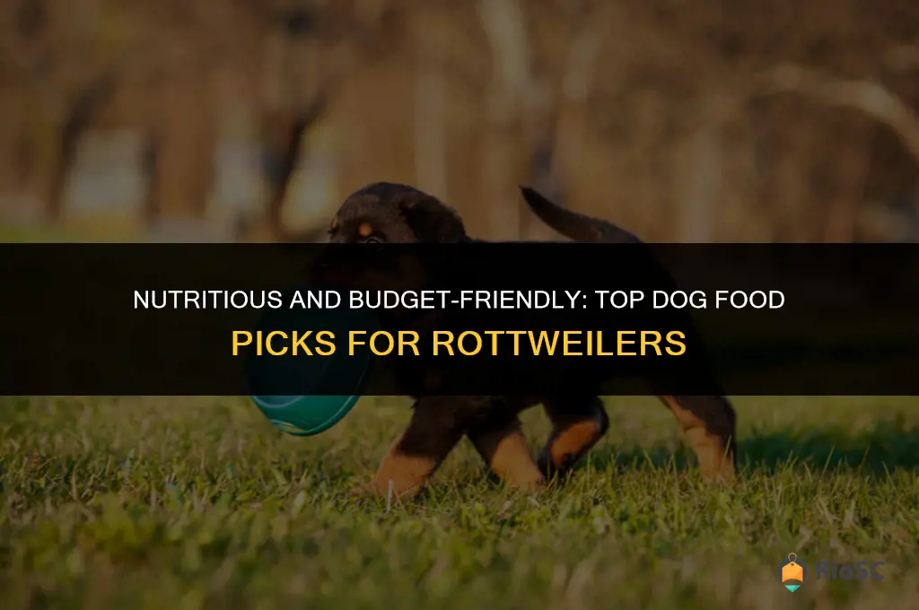 best affordable dog food for rottweilers