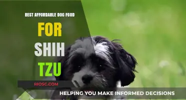 Nutritious and Budget-Friendly: Top Dog Food Picks for Your Shih Tzu