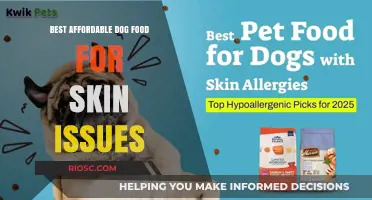 Nourishing Your Furry Friend: Top Affordable Dog Foods for Healthy Skin