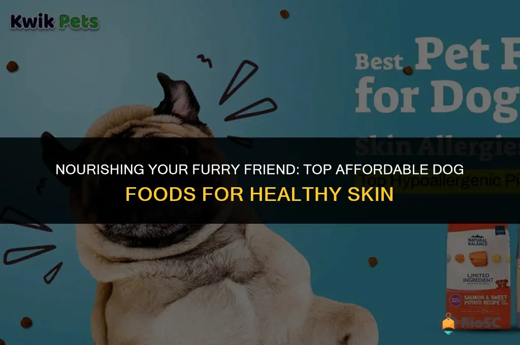 best affordable dog food for skin issues