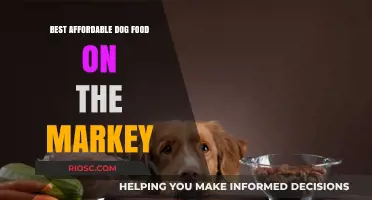 Top Budget-Friendly Dog Food Options: Quality Nutrition Without Breaking the Bank