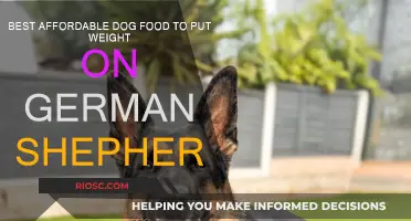 Nourishing Your German Shepherd: Top Affordable Dog Foods for Healthy Weight Gain