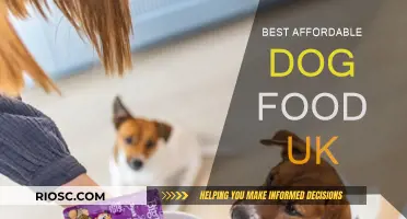 Top-Rated Affordable Dog Food Options in the UK: A Comprehensive Guide for Pet Owners