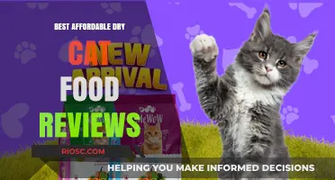Purr-fectly Priced: Top Affordable Dry Cat Food Options Reviewed