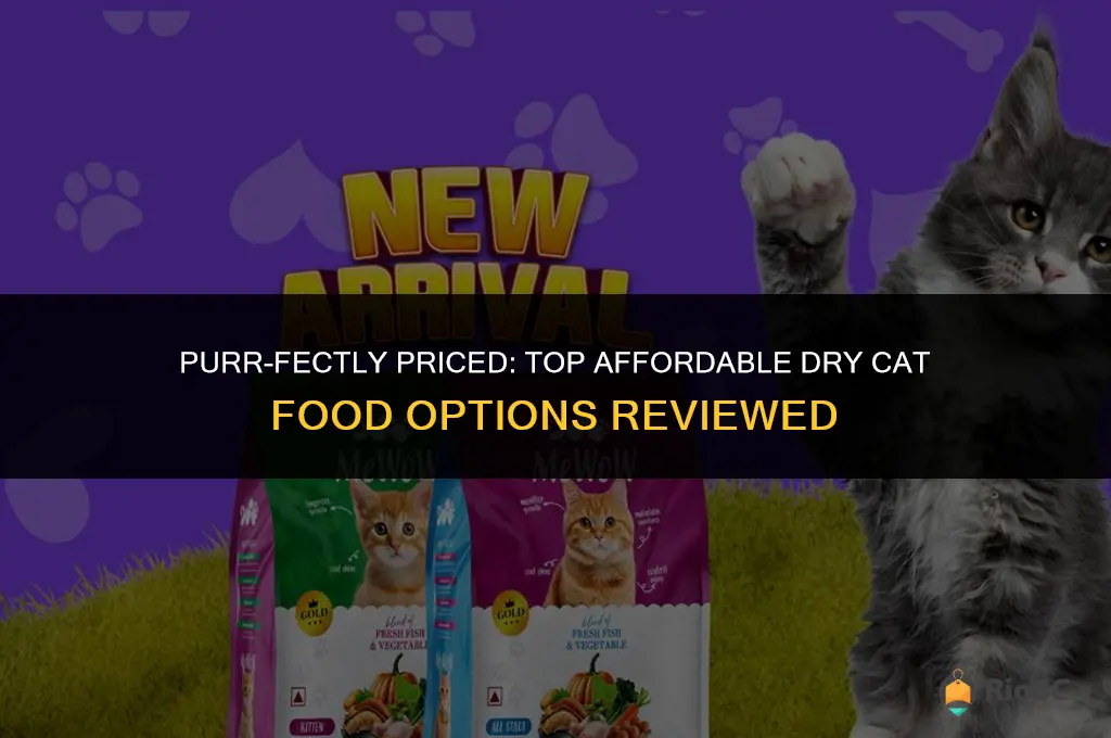 best affordable dry cat food reviews