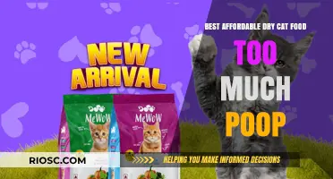 Exploring the Best Affordable Dry Cat Food Options: A Guide to Reducing Excessive Pooping