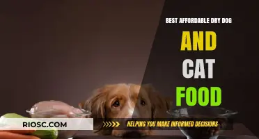 Top Picks for Budget-Friendly Dry Pet Food: Nourishing Your Furry Friends Without Breaking the Bank