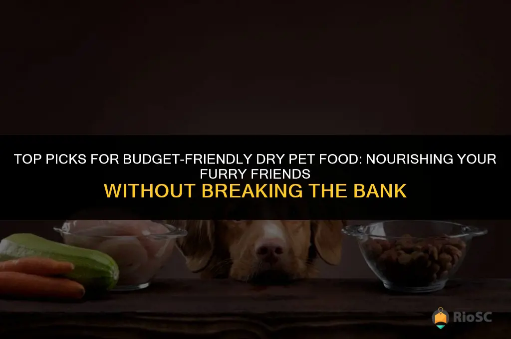 best affordable dry dog and cat food