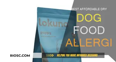 Top Affordable Dry Dog Food Options for Allergy-Prone Pets