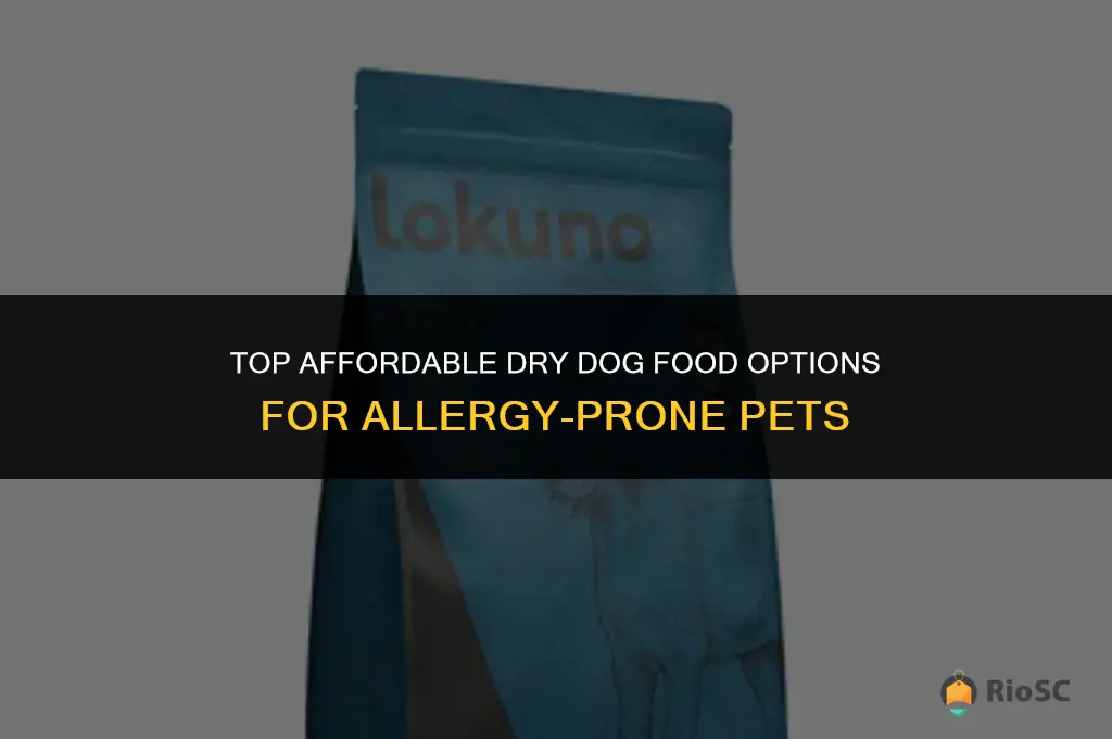 best affordable dry dog food allergies