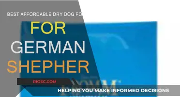 Top Budget-Friendly Dry Dog Food Options for German Shepherds: A Comprehensive Guide