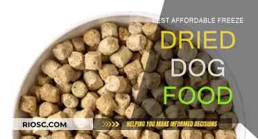 Top Budget-Friendly Freeze-Dried Dog Food Options: Quality Nutrition Without Breaking the Bank