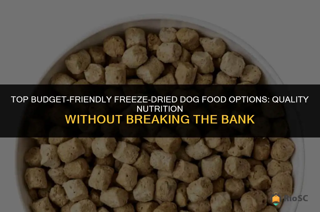 best affordable freeze dried dog food