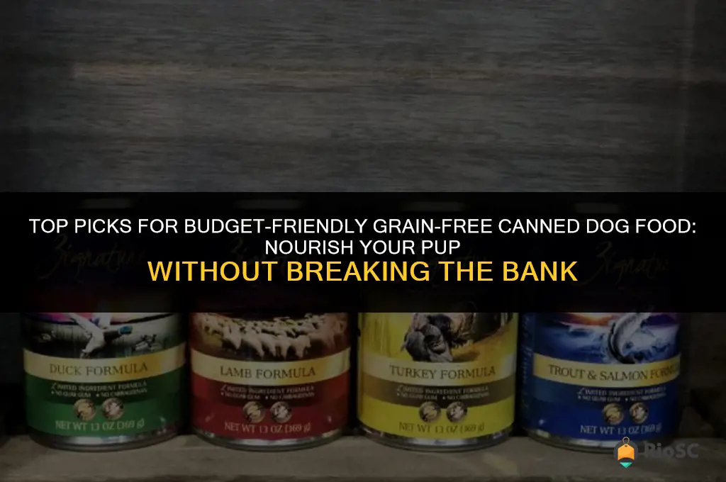 best affordable grain free canned dog food