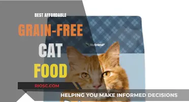 Top Picks for Budget-Friendly Grain-Free Cat Food: Nourishing Your Feline Friend Without Breaking the Bank
