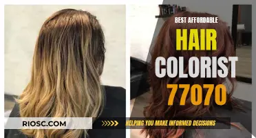 Houston's Top Colorists: Affordable Hair Color in 77070