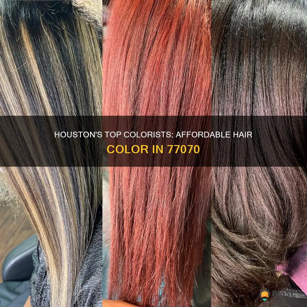 best affordable hair colorist 77070