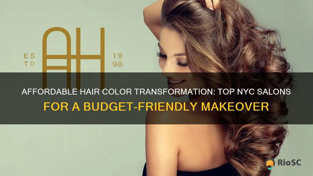 best affordable hair colorist in nyc