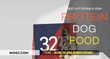 Top Picks for Budget-Friendly High Protein Dog Food: Nourish Your Pup Without Breaking the Bank